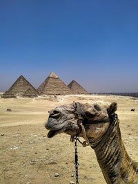 Ägypten Wahrzeichen - eSIM Datenplan erhältlich.