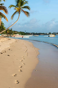 Trinidad und Tobago Wahrzeichen - eSIM Datenplan erhältlich.